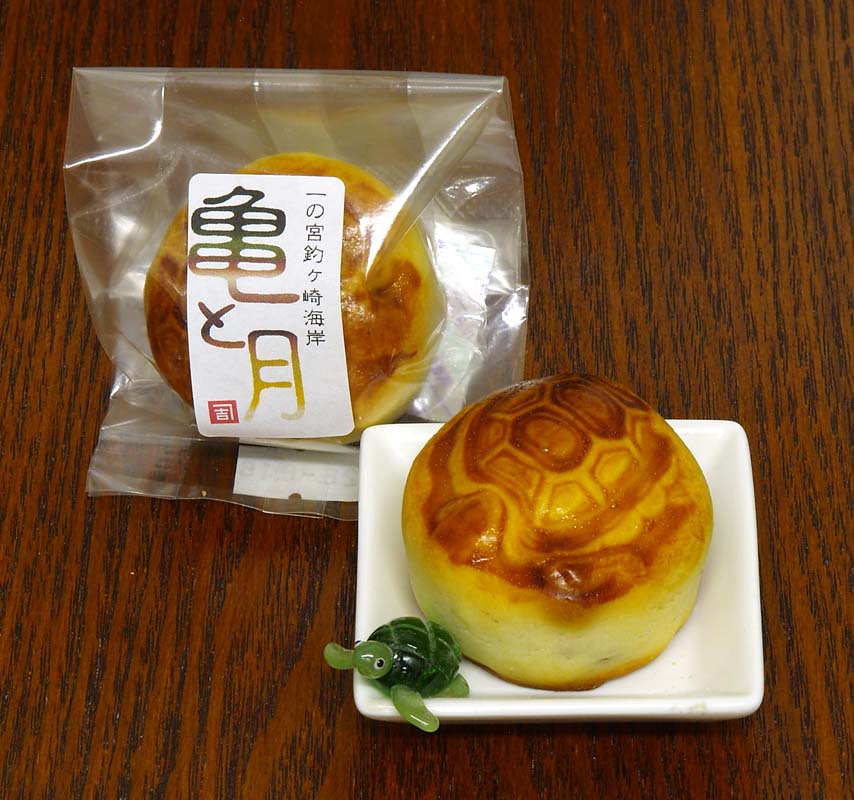 一の宮釣ヶ崎海岸 亀と月